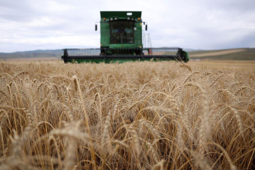 2025 онд ургац алдсан тариалангийн үйлдвэрлэл эрхлэгч иргэн, аж ахуйн нэгжүүдийг үндсэн зээлээс нь чөлөөжээ